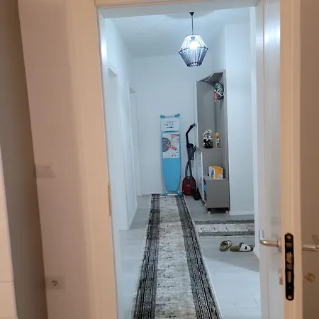 Flat Sheles * Szkodra